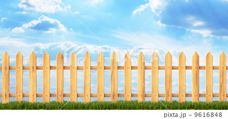 fence fence 9616848