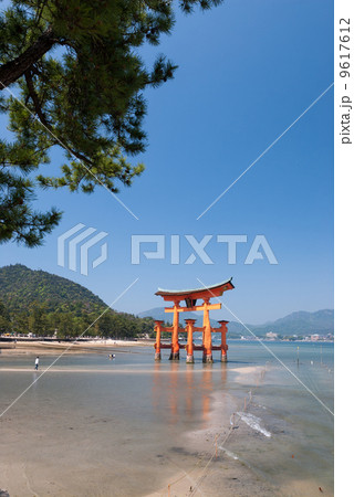 厳島神社 大鳥居 厳島神社 大鳥居 9617612