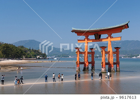 厳島神社 大鳥居 厳島神社 大鳥居 9617613
