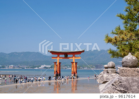 厳島神社 大鳥居 厳島神社 大鳥居 9617614