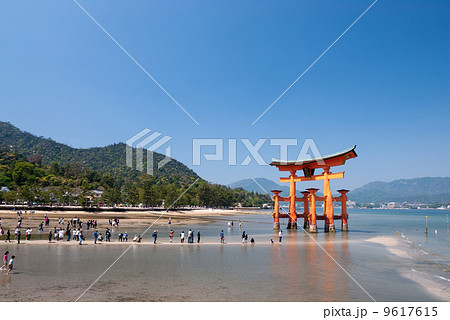 厳島神社 大鳥居 厳島神社 大鳥居 9617615