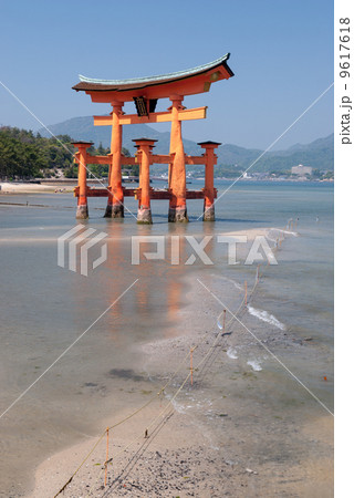 厳島神社　大鳥居 9617618