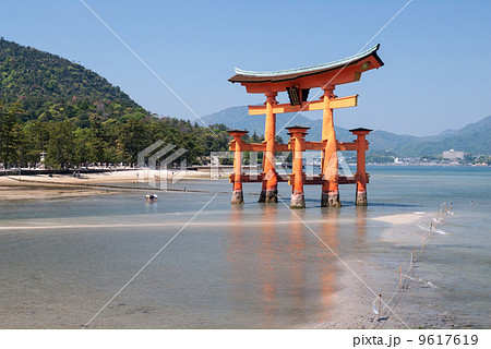 厳島神社 大鳥居 厳島神社 大鳥居 9617619