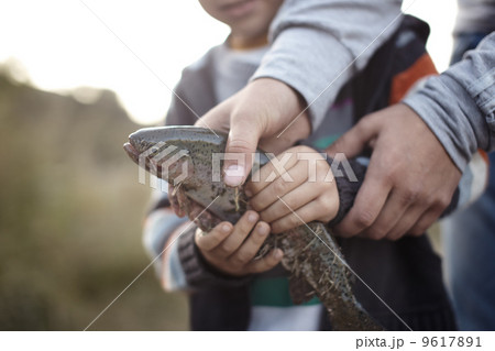 Fishery Fishery 9617891