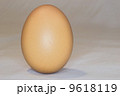 Egg 9618119