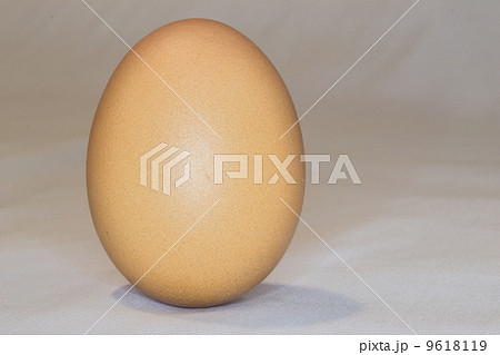 Egg 9618119