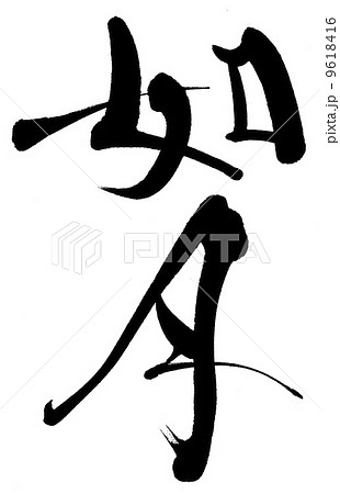 如月 9618416