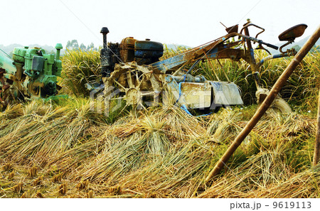 tractor on rice farm tractor on rice farm 9619113