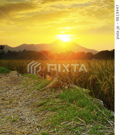 Golden sunset over farm field 9619447