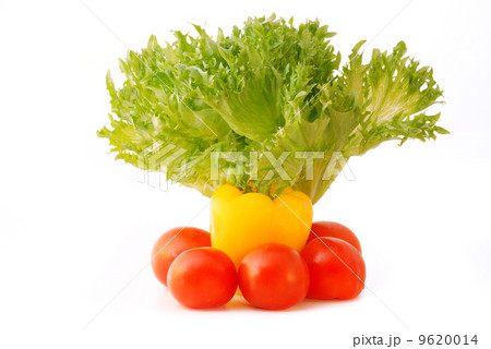 Fresh vegetables Fresh vegetables 9620014