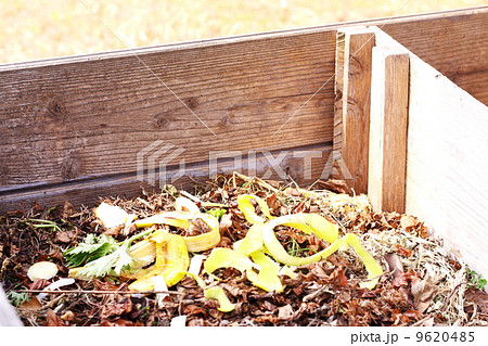 庭の堆肥槽で落ち葉や生ゴミを堆肥化の写真素材