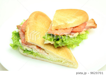 パニーニ 9620701