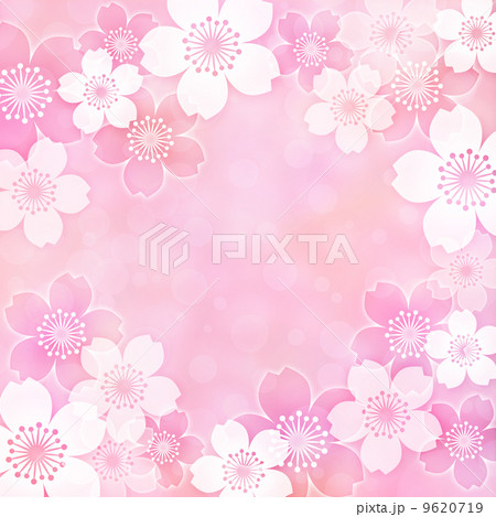 桜背景 9620719