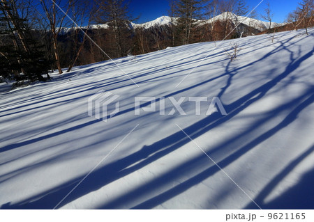鳳凰三山・杖立峠付近の雪原から白峰三山 鳳凰三山・杖立峠付近の雪原から白峰三山 9621165