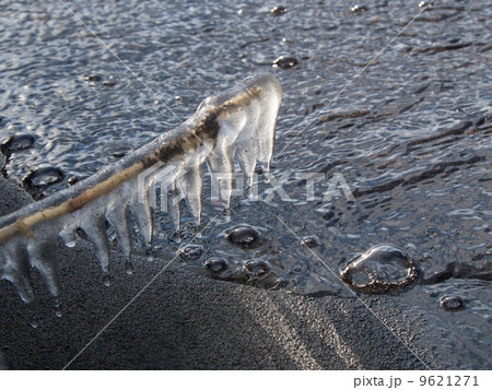 冬の湖畔のつらら 冬の湖畔のつらら 9621271