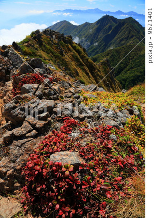 八ヶ岳・赤岳の登りからウラシマツツジの紅葉と権現岳・南アルプス 9621401