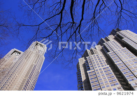 1月都市の風景・街並み386東京都庁 9621974