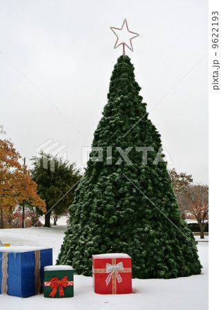 ダラス・雪化粧のクリスマスツリー(アメリカ・テキサス州) ダラス・雪化粧のクリスマスツリー(アメリカ・テキサス州) 9622193