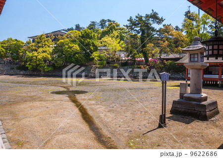 厳島神社 鏡の池 厳島神社 鏡の池 9622686