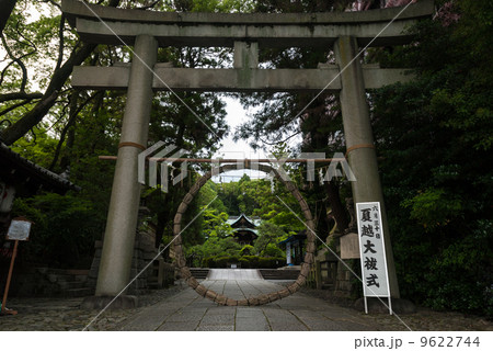 岡崎神社 茅の輪 岡崎神社 茅の輪 9622744
