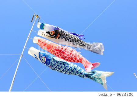 鯉のぼり 9623200