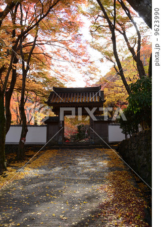 大阪岸和田にある大威徳寺の山門と紅葉 大阪岸和田にある大威徳寺の山門と紅葉 9623990