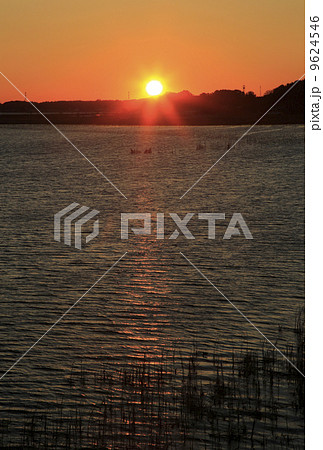 手賀沼の日の出 手賀沼の日の出 9624546
