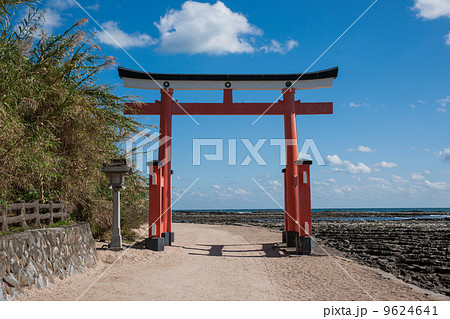 青島神宮参道鳥居 9624641