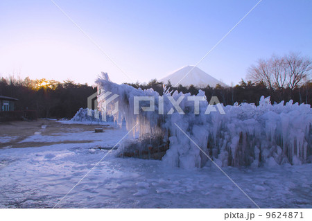 富士山「世界文化遺産」と朝日に輝く西湖野鳥の森公園の樹氷「富士箱根伊豆国立公園」 9624871