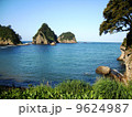 伊豆西海岸の三四郎島 9624987