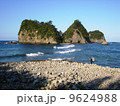 伊豆西海岸の三四郎島 9624988