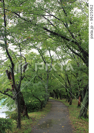 大覚寺 大覚寺 9625062