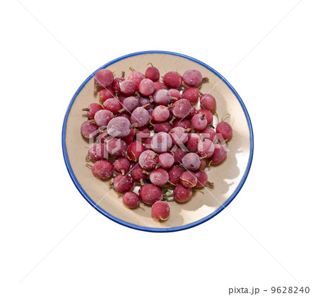 Frozen dessert of gooseberry Frozen dessert of gooseberry 9628240