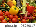 variety fruit and vegetable background 9629017