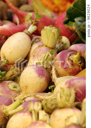 close up Radish in market 9629024