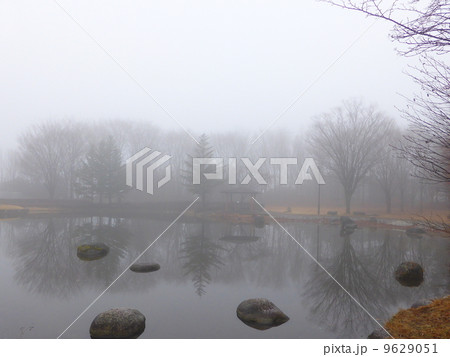 濃霧の公園 濃霧の公園 9629051