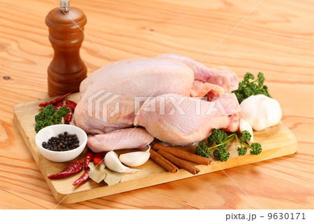 鶏肉 鶏肉 9630171
