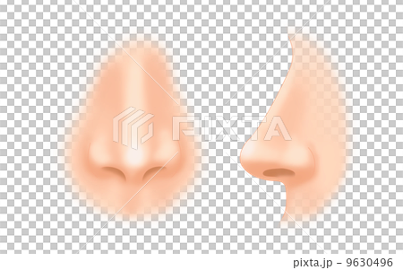 Illustration of a nose 9630496