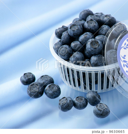 ブルーベリー 9630665