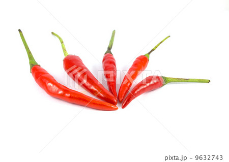 Red chili peppers on a white background. Red chili peppers on a white background. 9632743