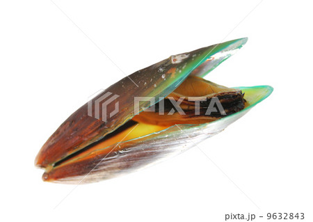 Green mussel on white background. 9632843