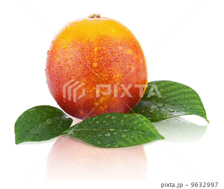Ripe red blood oranges with green leaves isolated on white backg 9632997