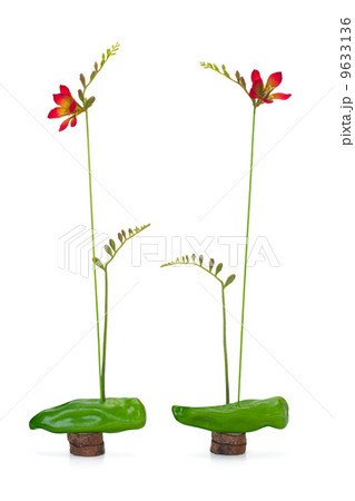 abstract composition of freesia and sweet green pepper on a wood abstract composition of freesia and sweet green pepper on a wood 9633136