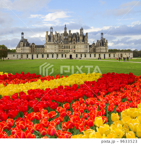 Chambord castle,  Loire valley,F rance 9633523