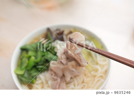 箸でつまむ肉うどん 箸でつまむ肉うどん 9635246