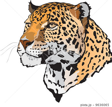 Leopard Leopard 9636065