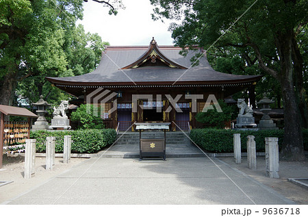 若宮八幡宮・本殿（名古屋） 9636718