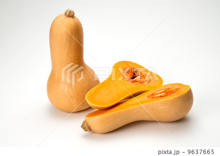 バターナッツ 9637665
