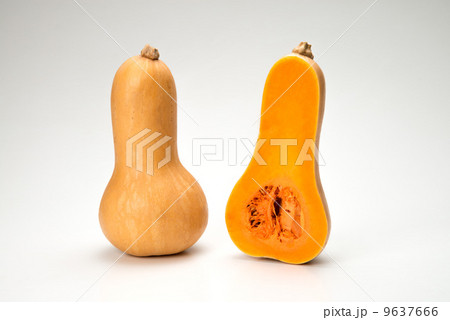 バターナッツ バターナッツ 9637666