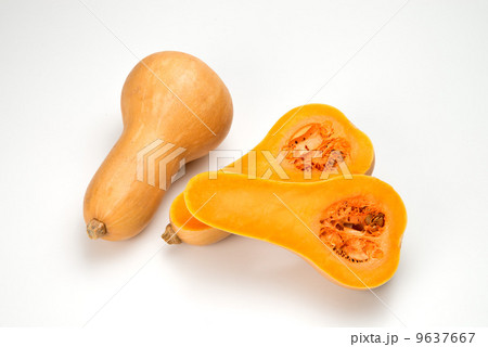 バターナッツ バターナッツ 9637667